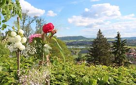 Inklusions- Und Panorama Hotel Kochsberg